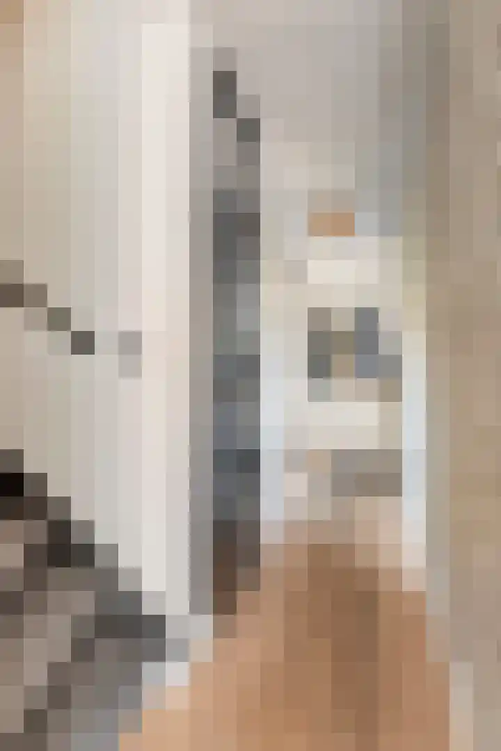 Prauw 3 Veenendaal thumbnail 11