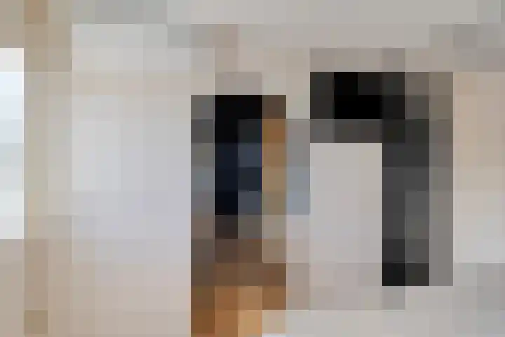 Prauw 3 Veenendaal thumbnail 13
