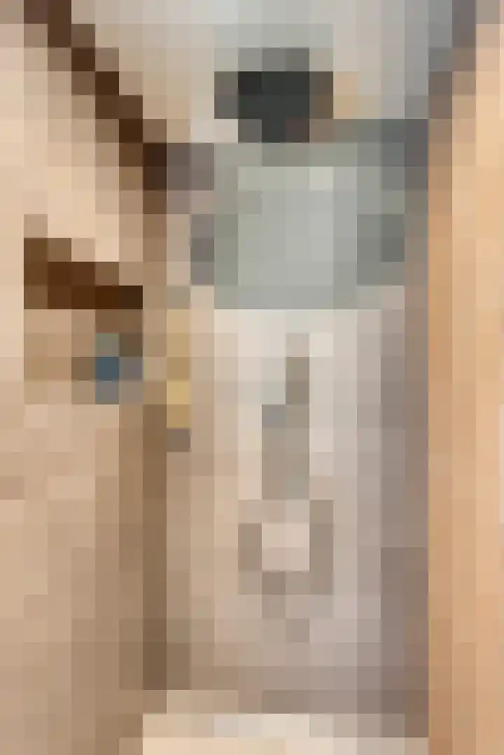 Prauw 3 Veenendaal thumbnail 17