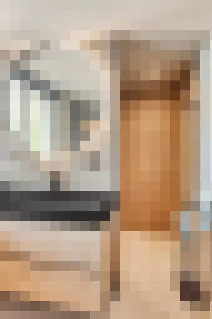 Prauw 3 Veenendaal thumbnail 18