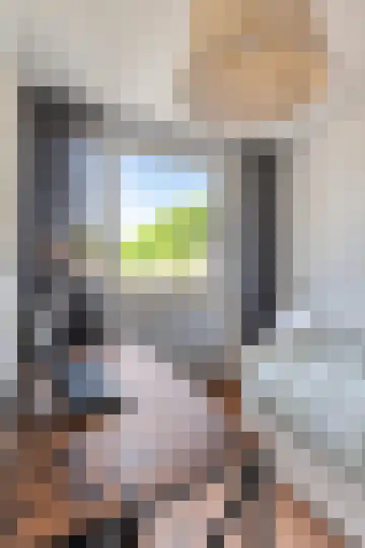 Prauw 3 Veenendaal thumbnail 20