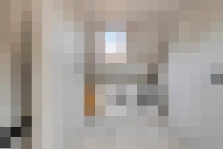 Prauw 3 Veenendaal thumbnail 23