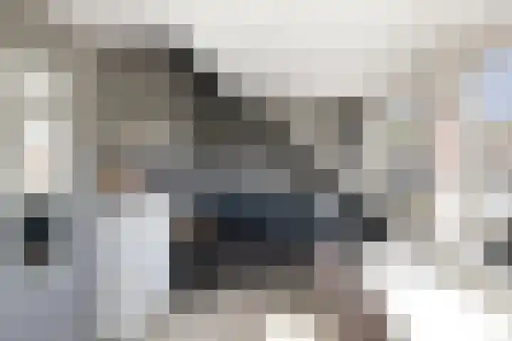 Prauw 3 Veenendaal thumbnail 24