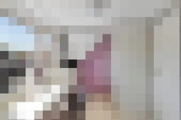 Prauw 3 Veenendaal thumbnail 25