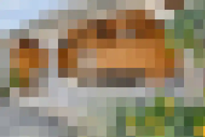 Prauw 3 Veenendaal thumbnail 28