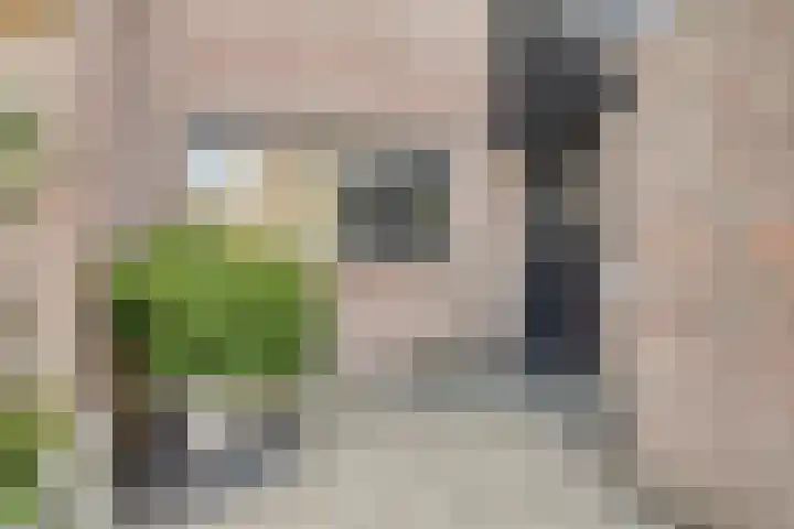 Prauw 3 Veenendaal thumbnail 31