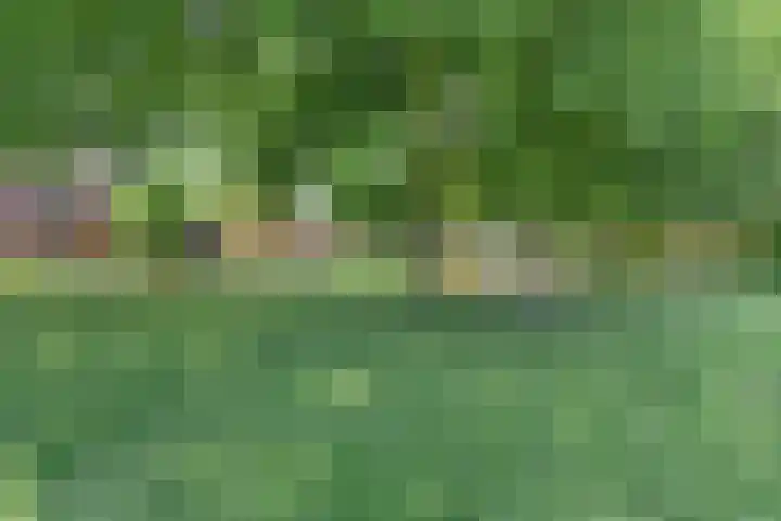 Prauw 3 Veenendaal thumbnail 34