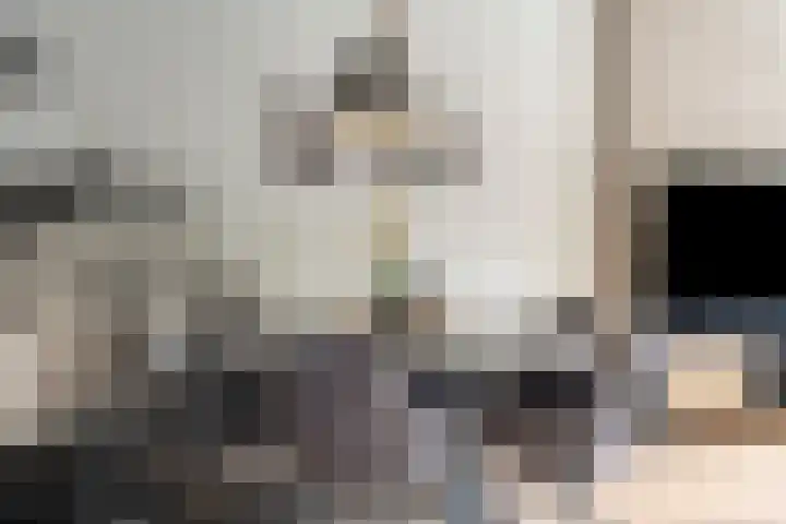 Prauw 3 Veenendaal thumbnail 6
