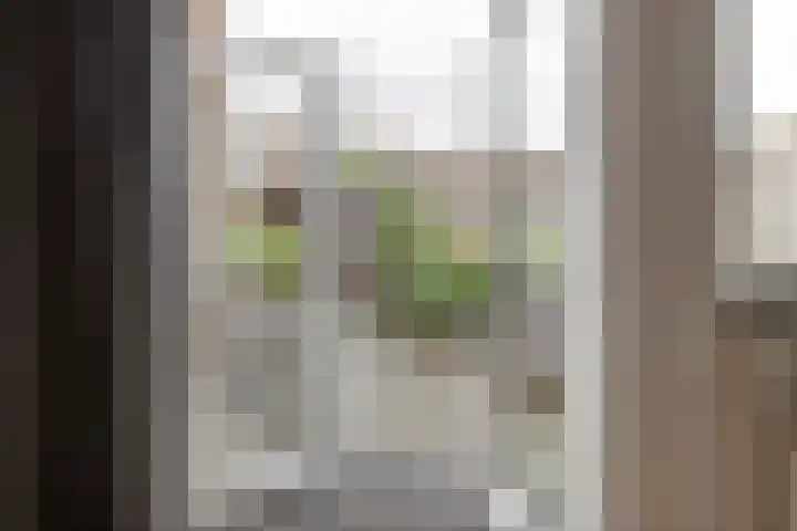 Prauw 32 Veenendaal thumbnail 14