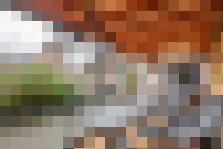 Prauw 32 Veenendaal thumbnail 15