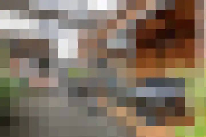 Prauw 32 Veenendaal thumbnail 16