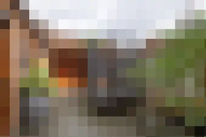 Prauw 32 Veenendaal thumbnail 17