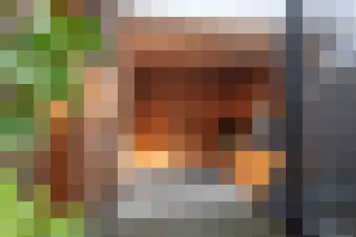 Prauw 32 Veenendaal thumbnail 18