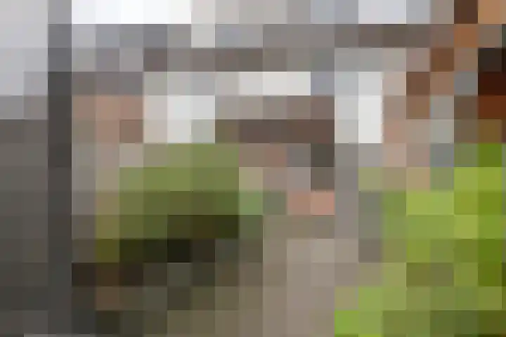 Prauw 32 Veenendaal thumbnail 19