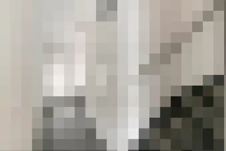 Prauw 32 Veenendaal thumbnail 20