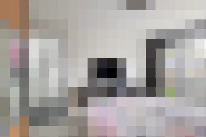 Prauw 32 Veenendaal thumbnail 23