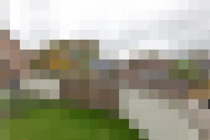 Prauw 32 Veenendaal thumbnail 24