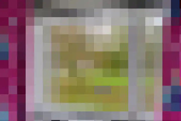 Prauw 32 Veenendaal thumbnail 26