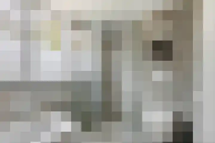 Prauw 32 Veenendaal thumbnail 28