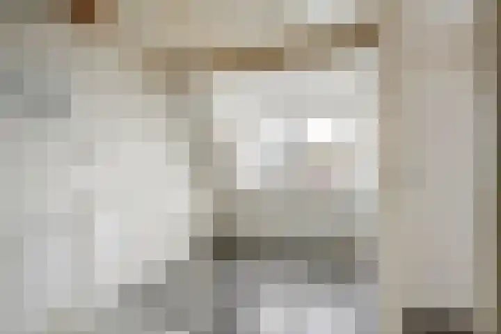 Prauw 32 Veenendaal thumbnail 31