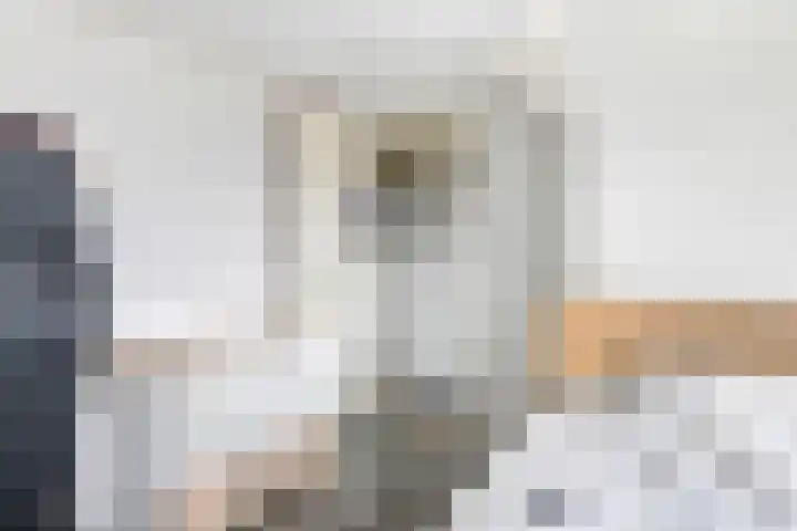 Prauw 32 Veenendaal thumbnail 33