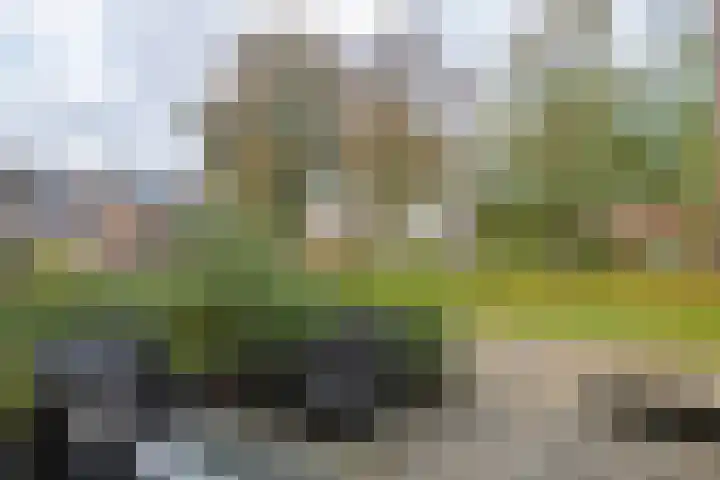 Prauw 32 Veenendaal thumbnail 36