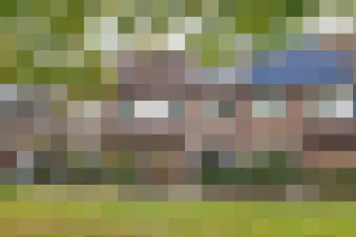 Prauw 32 Veenendaal thumbnail 37