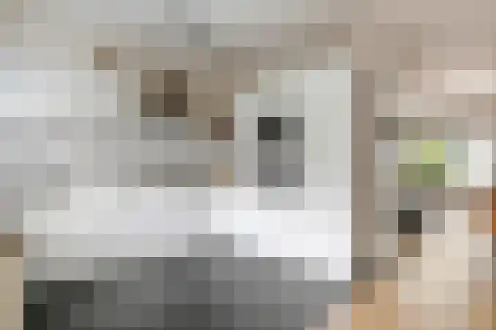 Prauw 32 Veenendaal thumbnail 4