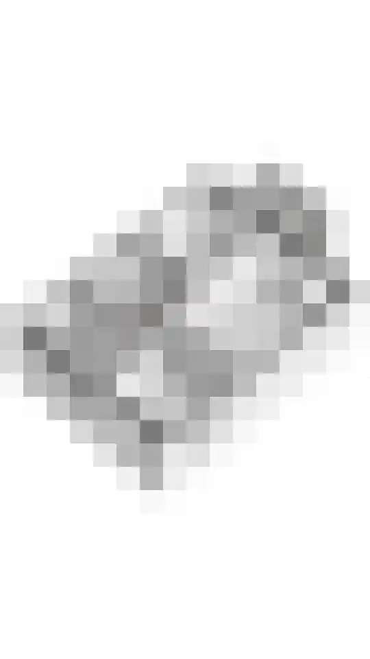 Prauw 32 Veenendaal thumbnail 41