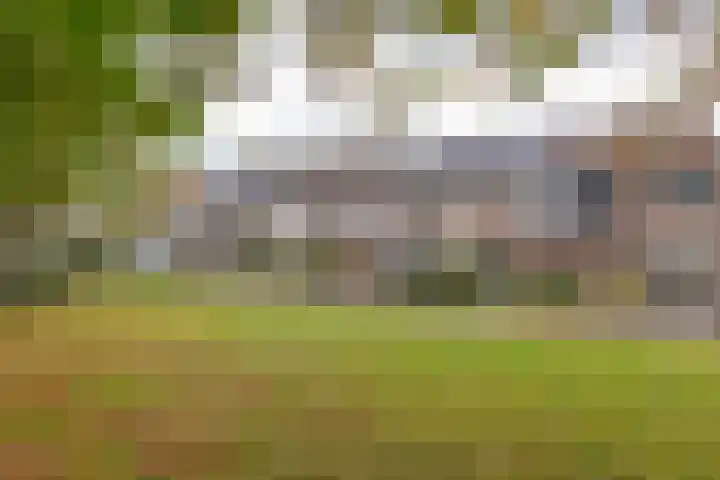 Prauw 32 Veenendaal thumbnail 5
