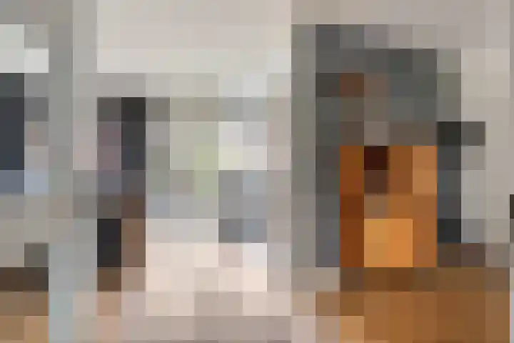 Prauw 32 Veenendaal thumbnail 8