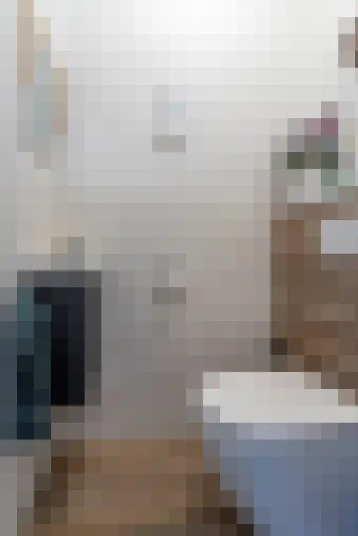 Prauw 34 Veenendaal thumbnail 19