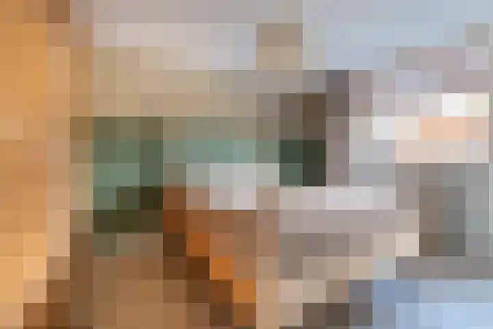 Prauw 34 Veenendaal thumbnail 20