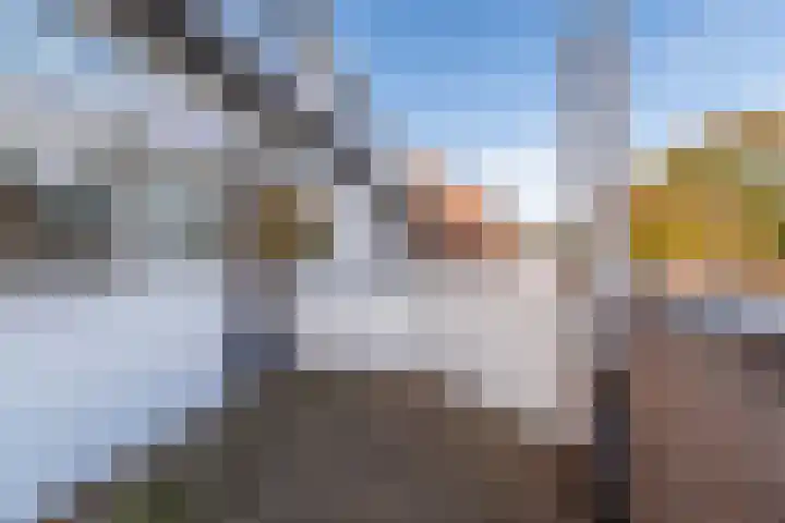 Prauw 34 Veenendaal thumbnail 22