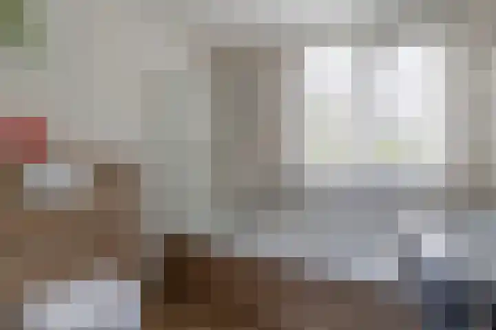Prauw 34 Veenendaal thumbnail 26
