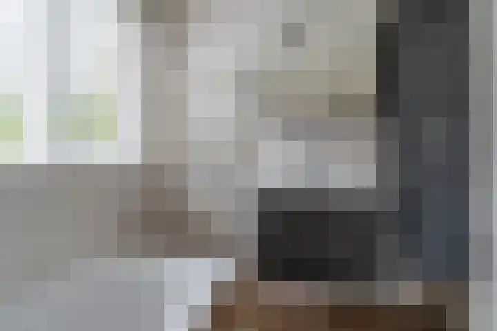 Prauw 34 Veenendaal thumbnail 28
