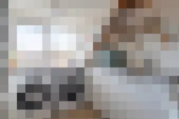 Prauw 34 Veenendaal thumbnail 31