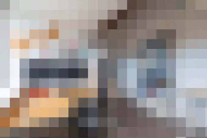 Prauw 34 Veenendaal thumbnail 33
