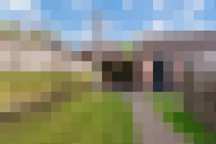 Prauw 34 Veenendaal thumbnail 36