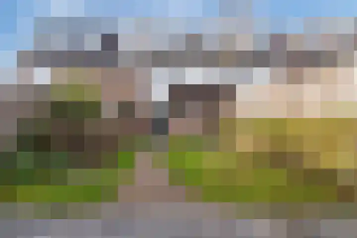 Prauw 34 Veenendaal thumbnail 37
