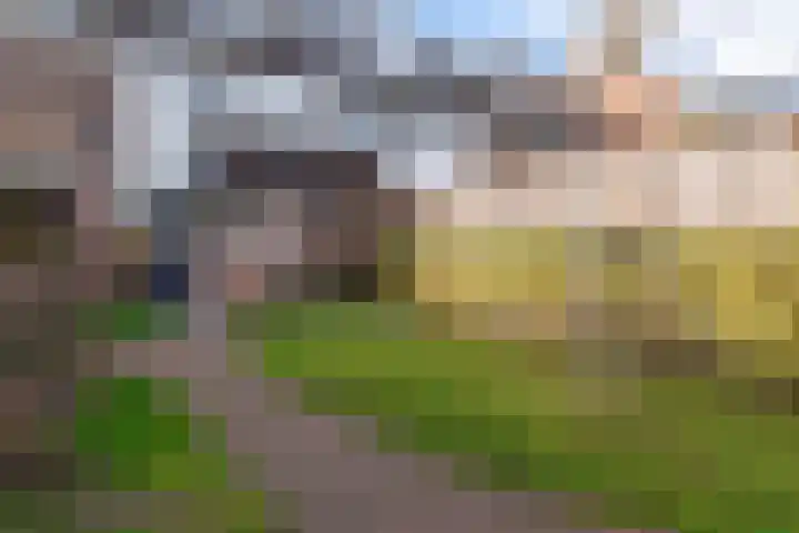 Prauw 34 Veenendaal thumbnail 38