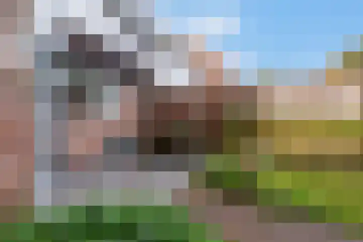 Prauw 34 Veenendaal thumbnail 39