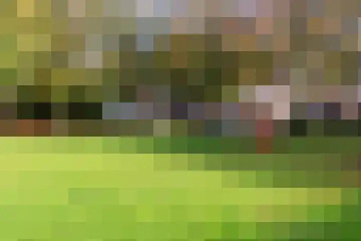 Prauw 34 Veenendaal thumbnail 40