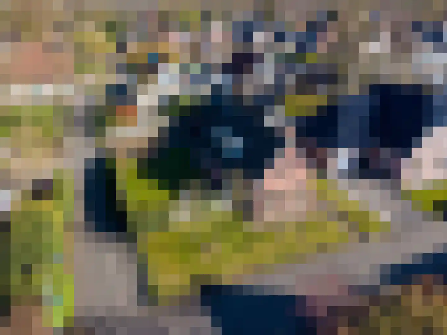 Pream 1 Drachtstercompagnie thumbnail 10