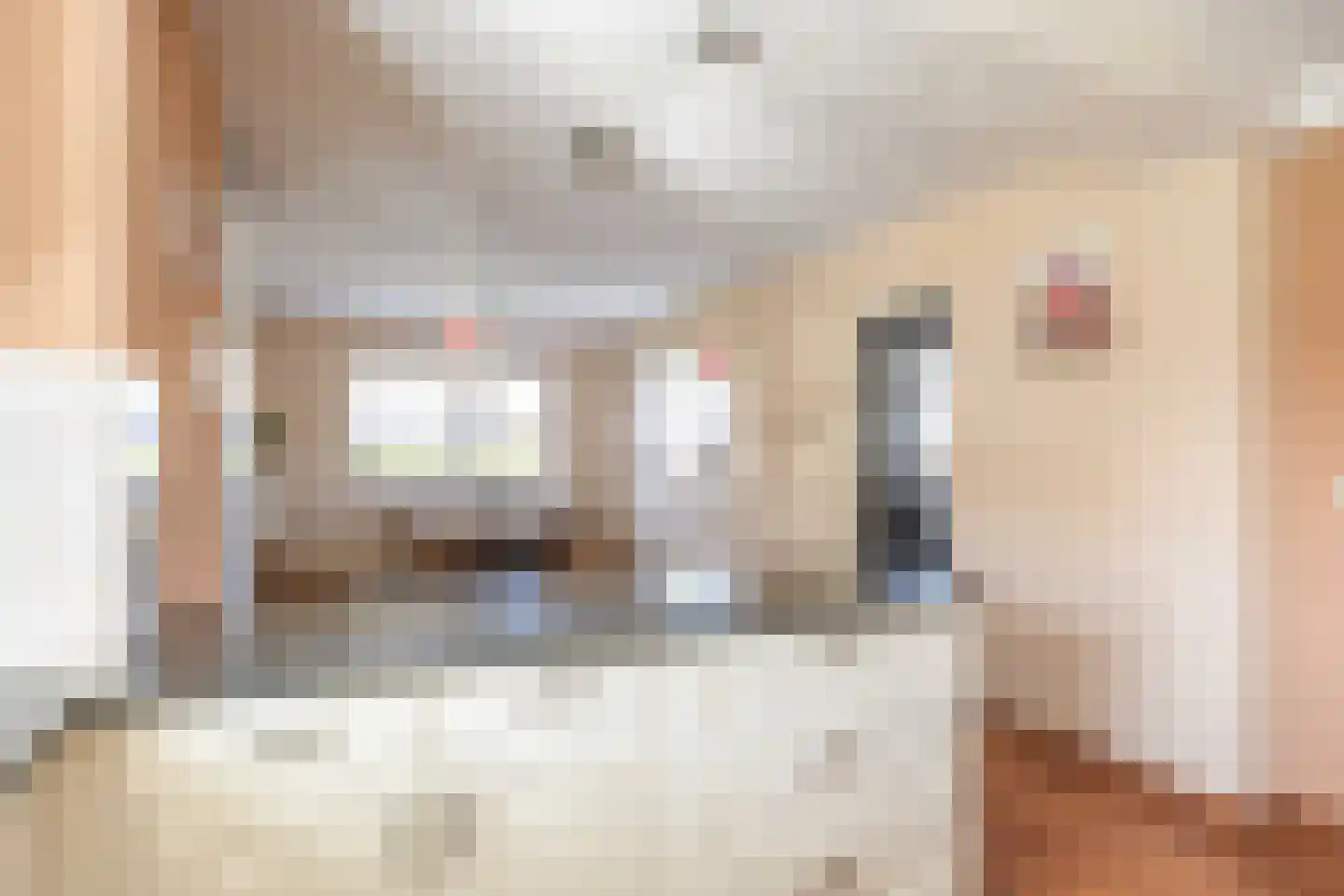 Pream 1 Drachtstercompagnie thumbnail 35