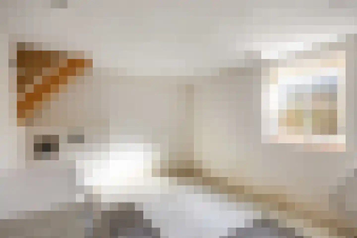 Pream 1 Drachtstercompagnie thumbnail 40