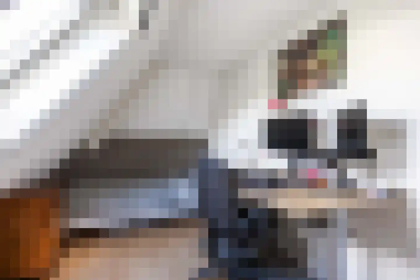 Pream 1 Drachtstercompagnie thumbnail 46