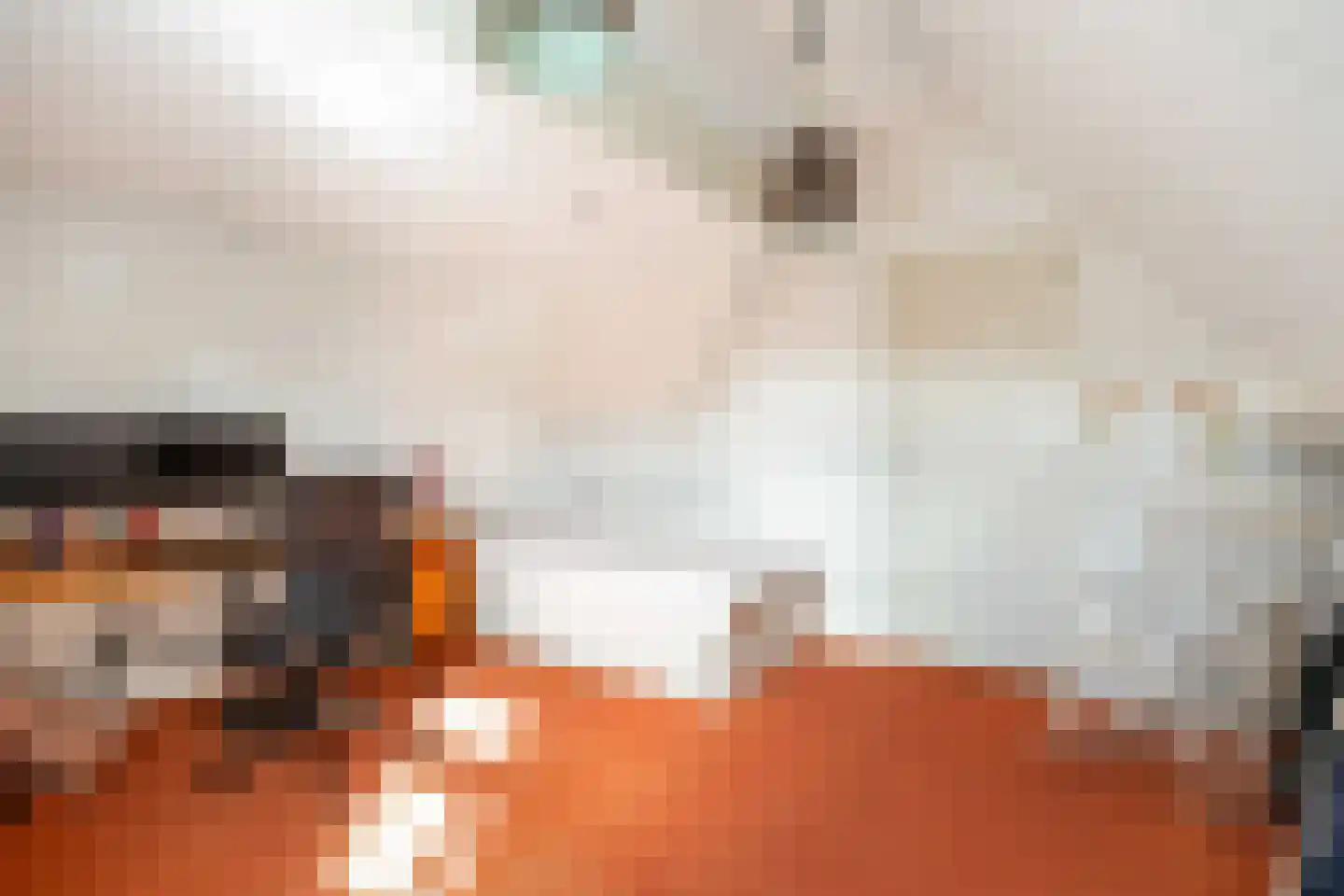 Pream 1 Drachtstercompagnie thumbnail 51