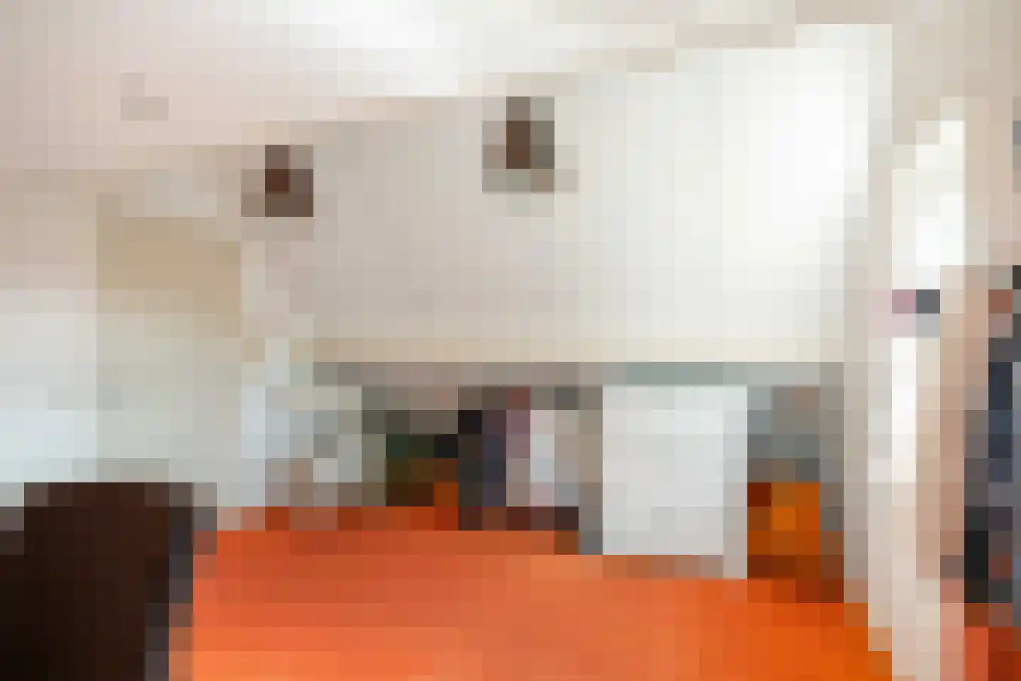 Pream 1 Drachtstercompagnie thumbnail 52