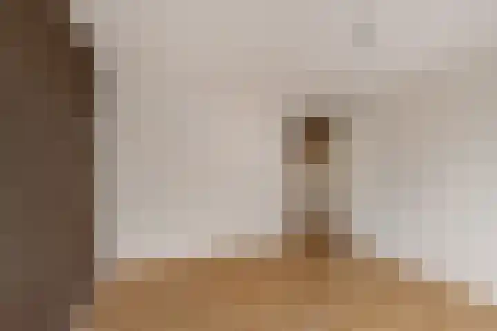 Pream 19 Joure thumbnail 26